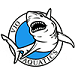 Image for VJO SCY C/B/A+ Meet from  Feb. 27 to Mar. 01
